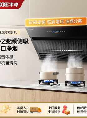 半球抽油烟机家用厨房侧吸自动清洗壁挂式油烟机变频大吸力出租房