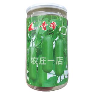 厚肉长瓠子瓜早熟柔嫩蒲瓜种子籽孑葫芦瓜圆瓠味香甜蔬菜瓜果四季