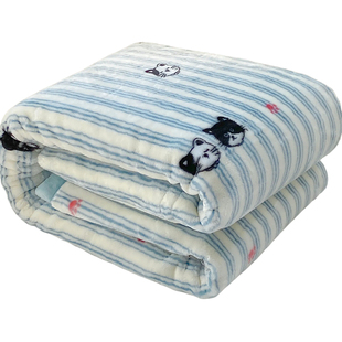 新款拉舍尔毛毯加绒加厚冬季盖毯宿舍学生铺床办公室沙发午睡毯子