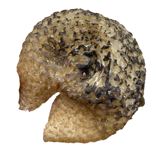 盐爆刺龟鱼皮干无刺干货海产渔民自晒刺龟皮炖煲汤食材鱼胶海胆皮