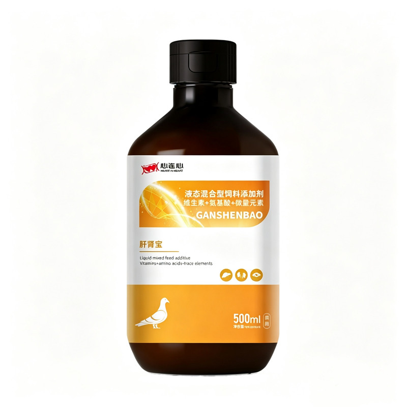心连心鸽药肝肾宝500ml