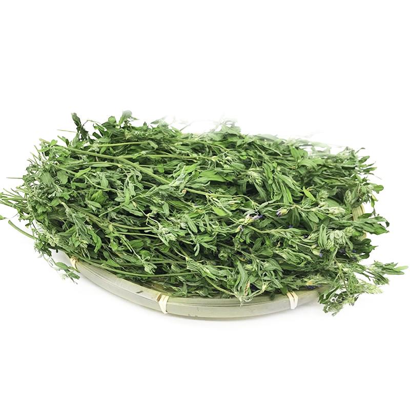 26年紫花苜蓿草兔草龙猫豚鼠牧草