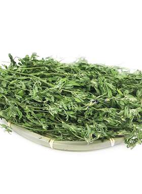 26年紫花苜蓿草兔草龙猫豚鼠牧草