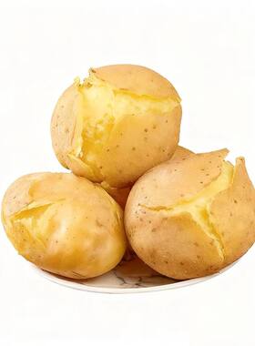 正宗甘肃定西土豆沙面新鲜黄皮黄心洋芋农家新鲜现挖小土豆马铃薯