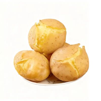 正宗甘肃定西沙面土豆新鲜黄皮黄心洋芋农家新鲜现挖小土豆马铃薯