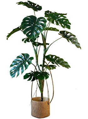 掬涵北欧仿真植物龟背竹仿生绿植