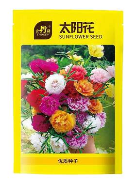 史丹利风铃草种子四季播种开花