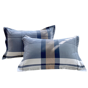 男孩条纹格子纯棉枕套一对全棉男生卡通学生宿舍30x5040x60 48x74