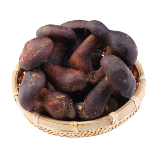 【现货】新鲜黑牛肝菌500g 现摘云南当野生食用菌蘑菇见手青鲜菌