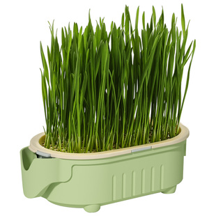 懒人猫草盆盆栽种植猫咪化毛草排毛水培盒盆种猫草专用盆新鲜狗草