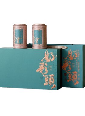 绿茶碧螺春花果香茶叶礼盒装