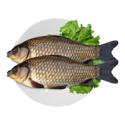 大鲫鱼新鲜鲫鱼现杀水产鲜活小土鲫鱼产妇下奶炖汤补身