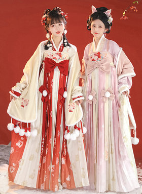 凤台曲（兔绒绒）冬款宋制汉服女对襟长袄交领百褶裙日常加绒套装