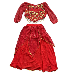 印度舞蹈服装女成人新天竺性感肚皮舞套装练功服长袖裙子装演出服