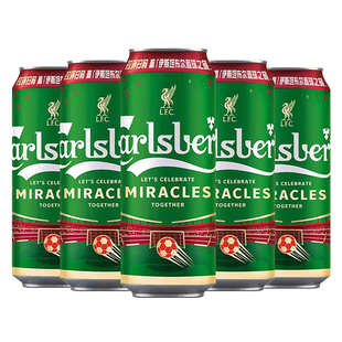 Carlsberg嘉士伯特醇500ml*5罐清爽小麦啤酒节日聚会