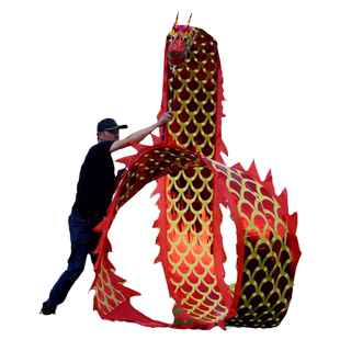 舞龙表演道具彩带健身新款中国甩甩龙广场舞飘带成人手甩耍龙龙头