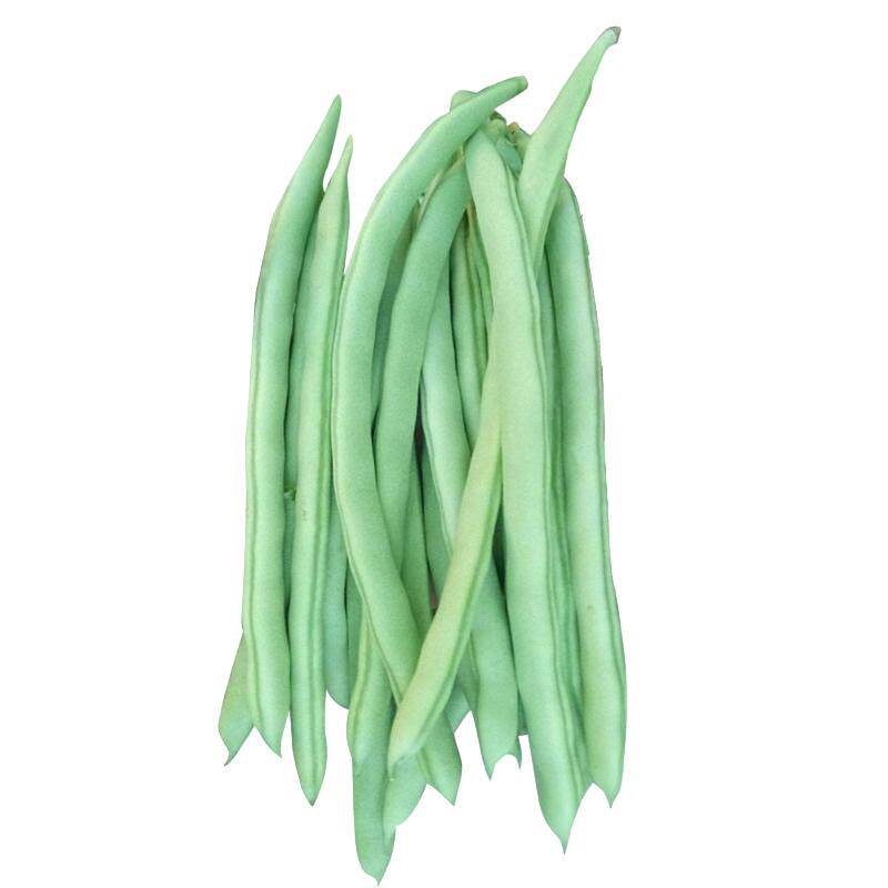 四季豆种子无筋菜豆角种籽四季播早熟架芸豆种阳台盆栽蔬菜种孑