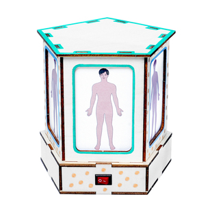 人体观察消化系统透视灯学生科学实验手工 diy木质拼插科技小制作