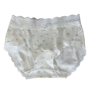 治愈系蕾丝边内裤女生纯棉抗菌裆少女透气女款2025新款中腰三角裤