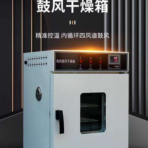 电热恒温鼓风干燥箱高温小型工业烤箱医用烘干机改大灯实验室烘箱