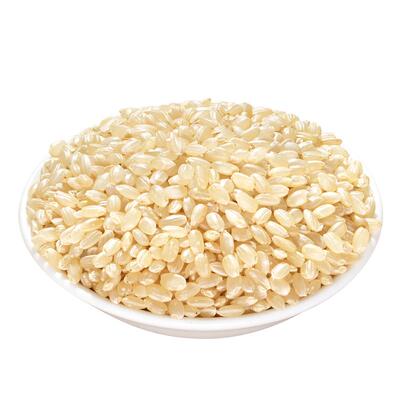 拾兄弟东北糙米低脂代餐主食