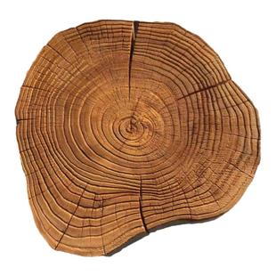 老榆木实木整块造型干泡茶盘中日式茶台壶承杯托古朴简约餐饮墙饰