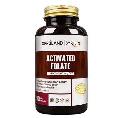 叶酸片中老年降低血同高活性配方