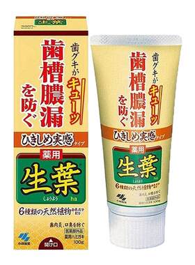 小林制药KOBAYASHI 防治牙周炎牙龈出正品