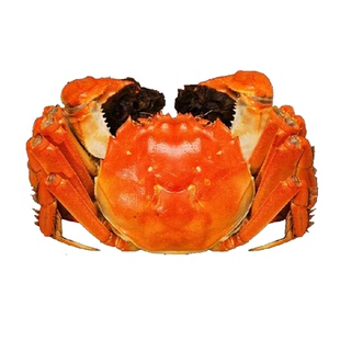 【4公4母】阳澄有礼大闸蟹礼盒公5.2-4.8两 母4.2-3.8两去绳足两