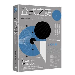 【预售】公式之美：23个经典公式，掌握宇宙万物法则，唤醒你的数学魂中文繁体科普进口原版外版书量子学派，罗金海大雁漫游者文化