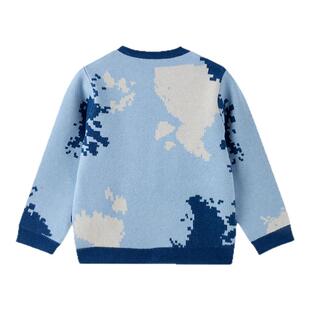 PawinPaw卡通小熊童装25年秋季新款男童圆领毛衣提花套头上衣