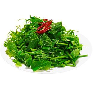 新鲜佛手瓜尖5斤洋丝瓜苗龙须菜应当季农家自种蔬菜土耳瓜尖包邮3