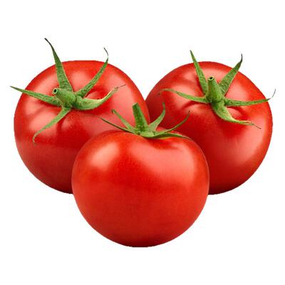 西红柿种子特大超甜沙瓤粉果番茄四季种农科院自留种非转基因种子