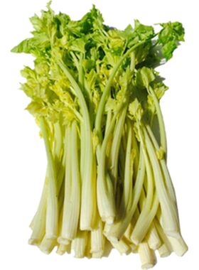 青岛平度马家沟芹菜精品嫩芹