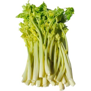 山东青岛平度马家沟芹菜产地直销新鲜蔬菜顺丰包邮精品嫩芹菜芯