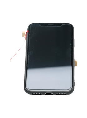 本命年野生桃核六合贵人属鼠