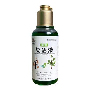 青丛园丁植物复活液养花水培绿植发财树富贵竹绿萝通用型营养液