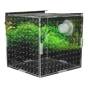 隔离盒单双多格隔离网亚克力鱼缸透明水族小鱼苗孵化器繁殖箱产盒