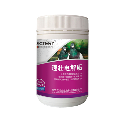 电解质汉诺威鸽药营养液