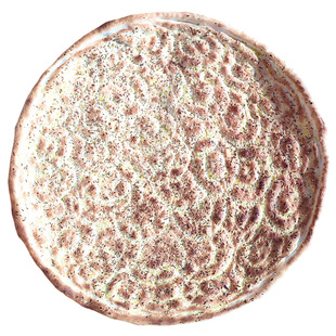 地道库车大馕新疆传统纯手工糕点零食皮牙子洋葱芝麻孜然烤饼顺丰