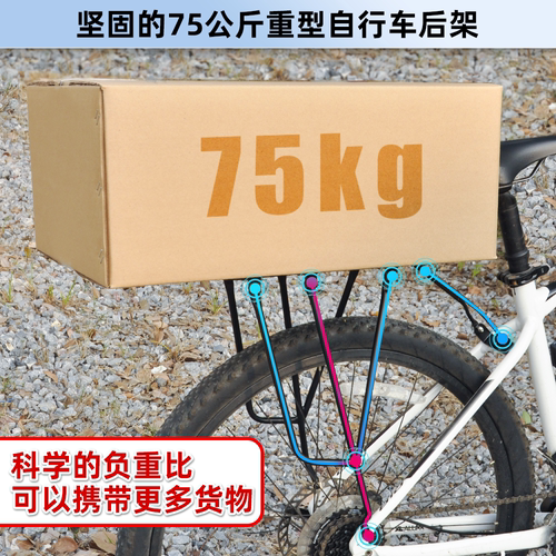 easydo自行车货架山地车碟刹V刹后货架全铝合金后货架可载人货架