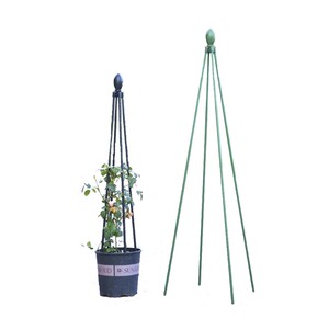爬藤架铁线莲茉莉花造型花架