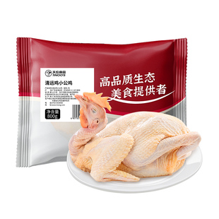 天农广东清远皇后鸡1KG+清远公鸡900g农家散养老母鸡整只生鲜土鸡