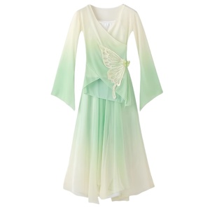 古典舞蹈服装飘逸身韵纱衣练功服女舞台装成人仙气古风演出服裙裤