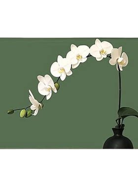 花卉装饰画餐厅轻法式复古挂画