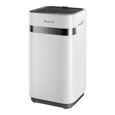 Brandt白朗无雾加湿器家用蒸发式孕妇母婴儿静音卧室空气净化一体