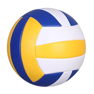 排球初中生中考专用标准款5号4号中小学生软排充气式男女训练比赛