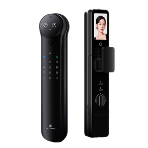德施曼高端锁密码锁指纹锁家用防盗3D人脸识别智锁麒麟R9精灵版