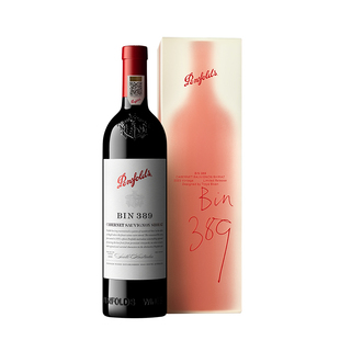 奔富BIN389 Troye Sivan设计联名款红酒礼盒澳洲进口葡萄酒正品