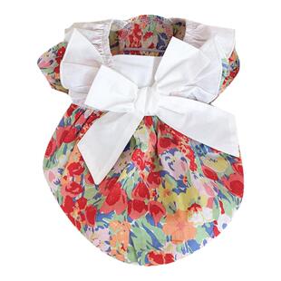 夏天宠物小狗狗裙子泰迪贵宾小型犬兔子猫咪博美比熊衣服夏季薄款